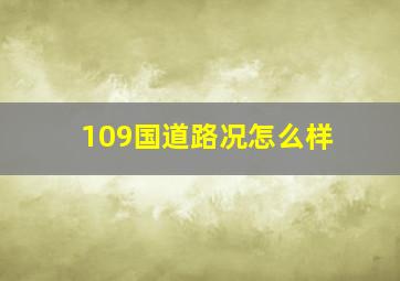 109国道路况怎么样