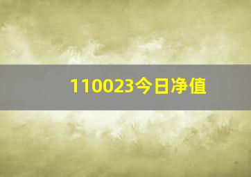 110023今日净值