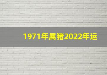 1971年属猪2022年运