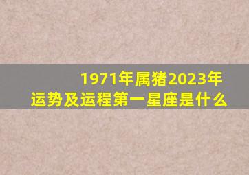 1971年属猪2023年运势及运程第一星座是什么