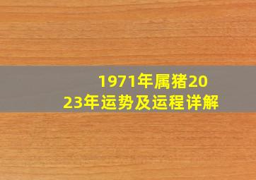 1971年属猪2023年运势及运程详解