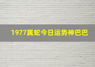 1977属蛇今日运势神巴巴