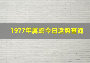 1977年属蛇今日运势查询