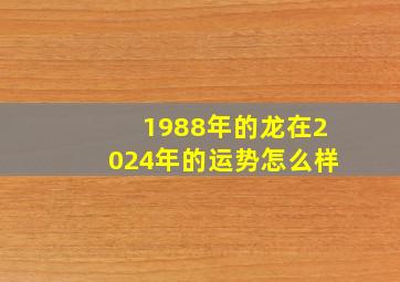 1988年的龙在2024年的运势怎么样