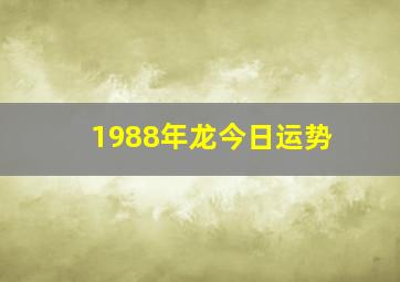 1988年龙今日运势