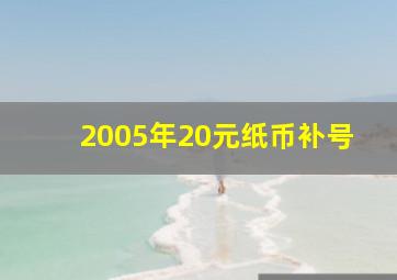 2005年20元纸币补号