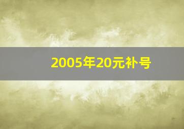 2005年20元补号