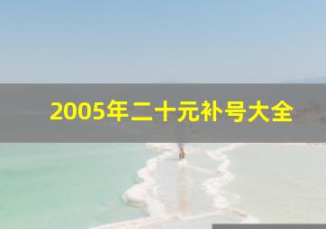 2005年二十元补号大全