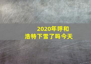 2020年呼和浩特下雪了吗今天