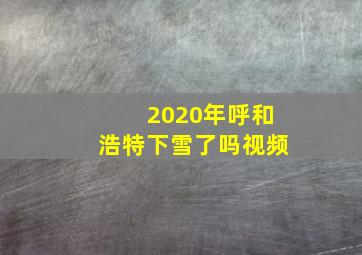 2020年呼和浩特下雪了吗视频