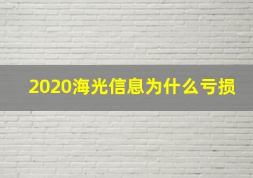 2020海光信息为什么亏损