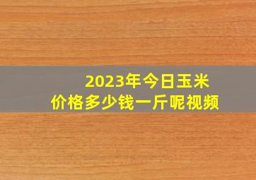 2023年今日玉米价格多少钱一斤呢视频