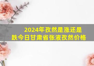 2024年孜然是涨还是跌今日甘肃省张液孜然价格