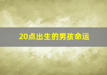 20点出生的男孩命运