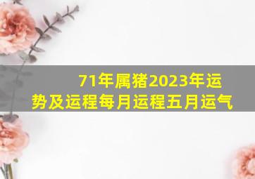 71年属猪2023年运势及运程每月运程五月运气