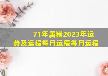 71年属猪2023年运势及运程每月运程每月运程