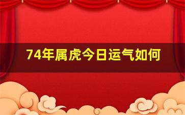 74年属虎今日运气如何