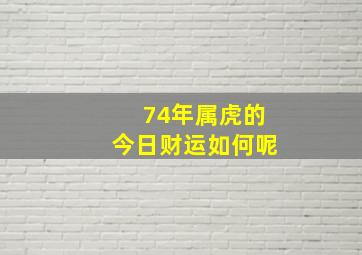 74年属虎的今日财运如何呢