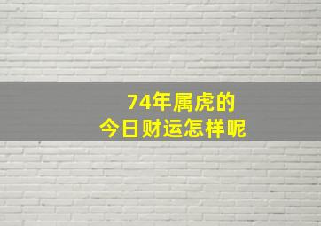 74年属虎的今日财运怎样呢