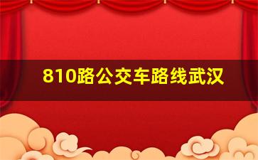 810路公交车路线武汉