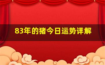 83年的猪今日运势详解