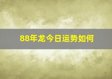 88年龙今日运势如何