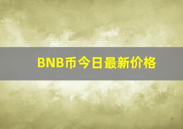 BNB币今日最新价格