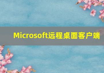 Microsoft远程桌面客户端