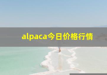 alpaca今日价格行情