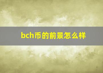 bch币的前景怎么样