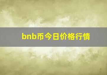 bnb币今日价格行情