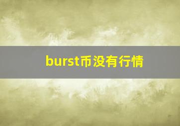 burst币没有行情