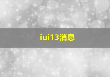 iui13消息