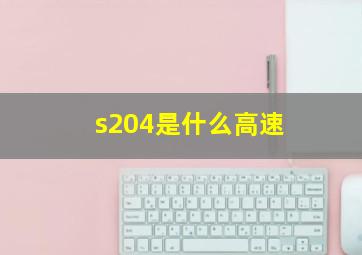 s204是什么高速