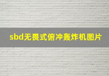 sbd无畏式俯冲轰炸机图片