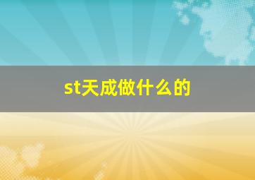 st天成做什么的