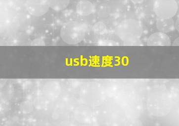 usb速度30