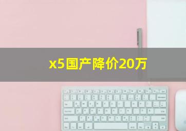 x5国产降价20万