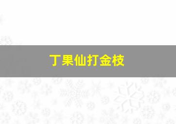 丁果仙打金枝