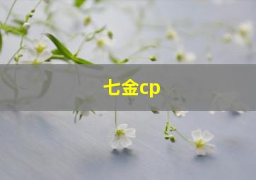 七金cp