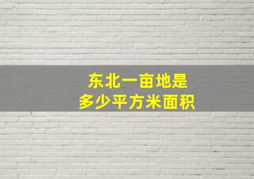 东北一亩地是多少平方米面积