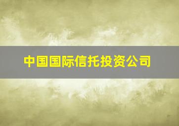 中国国际信托投资公司