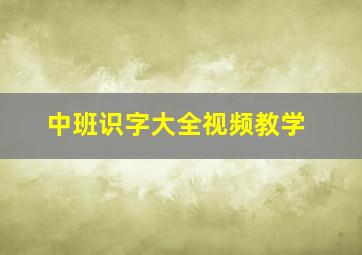 中班识字大全视频教学