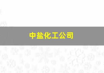 中盐化工公司