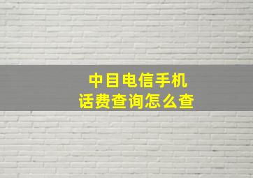 中目电信手机话费查询怎么查