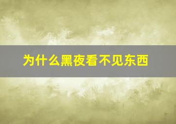 为什么黑夜看不见东西