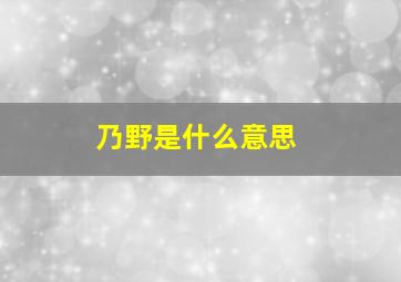 乃野是什么意思