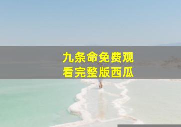 九条命免费观看完整版西瓜