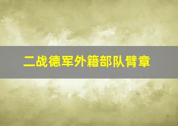 二战德军外籍部队臂章