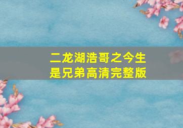 二龙湖浩哥之今生是兄弟高清完整版